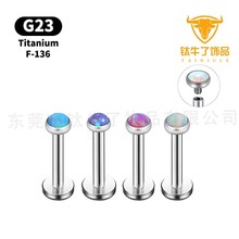G23⁺Ͻ�ƽ�װČ���ᔶ��F136���ݼyֱ�U������w�����Ʒ���