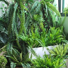 ��˹���~ާ�ֲ��ٻ��ݾGɫ�~�ӻ�cܛ�b�廨��ı������b�