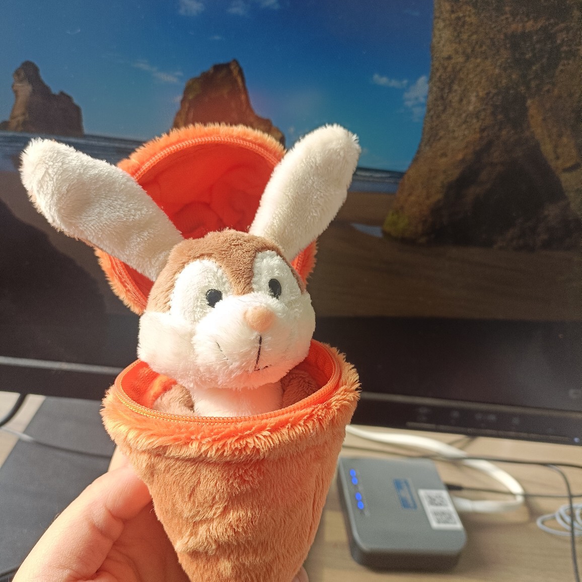 Plush rabbit
