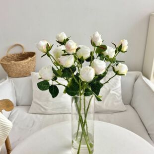 �͹Ž�߅3�^õ����滨���^õ�廨�ٻ��Ҿӿ͏d��c�b�ˇ�[��