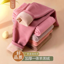 加绒加厚打底裤内穿冬加肥大码保暖裤斤羊羔绒高腰春裤女