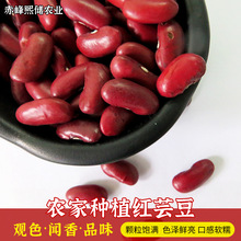 lsZtܿ rԮatܿ  ԭӢtܿ