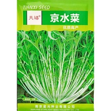 京水菜种子小松菜种籽叶用芥菜春秋季播种阳台庭院蔬菜10克2500粒