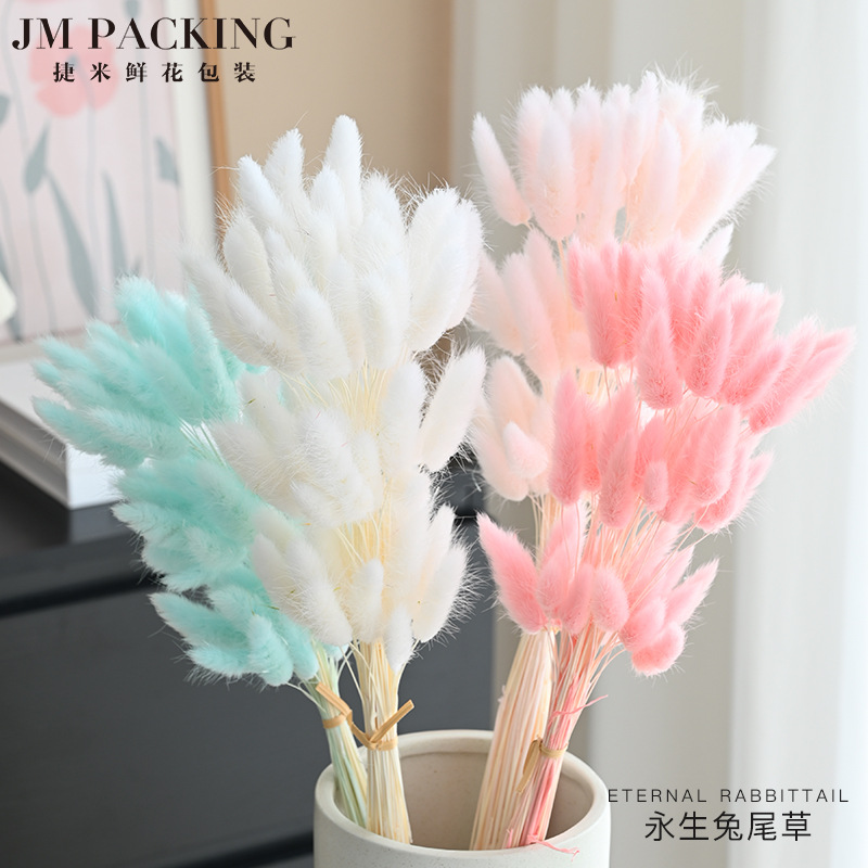 Ramos de flores secas flores verdaderas flores inmortales perro Ramos de cola de conejo al por mayor decoración del hogar props de disparo