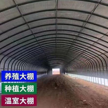 养殖大棚养鸡棚猪棚牛棚羊棚鸭棚鹅棚兔棚全套养殖棚冬暖夏凉骨架