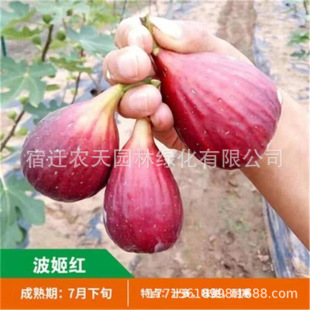 �o�������粼�m��˲����t�Ϸ��������Ե����̨ͥԺ�Nֲ������
