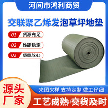 交联聚乙烯发泡草坪地垫XPE草坪减震垫足球场人造草缓冲垫吸震垫