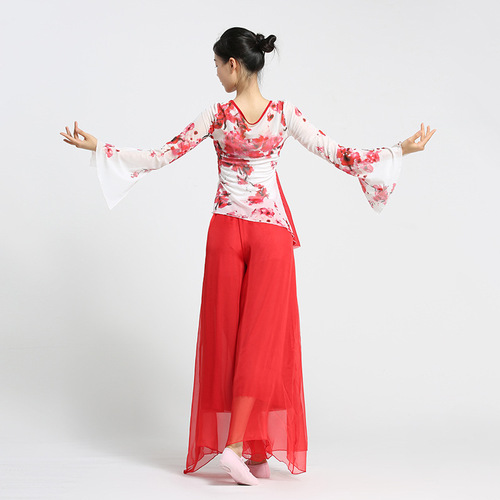 Honghua classical dance clothing body charm practice clothing gauze clothing art test trumpet sleeves plum blossom elegant ethnic dancer top