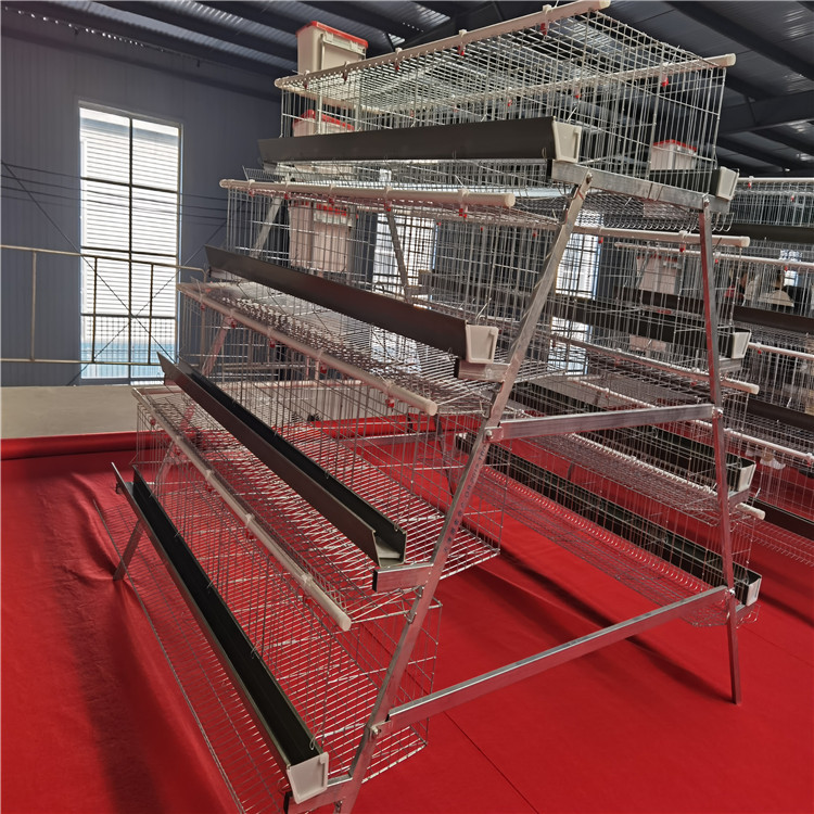 Una jaula de huevos de 4 capas de 4 puertas, una jaula de escalones tipo A, tecnología de galvanizado en frío / galvanizado en caliente, crianza de gallinas