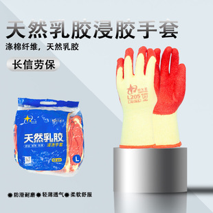 ���Ů��L205���؄ڱ����y���o���ײ���ֹ��������ĥ͸��Ӻ�