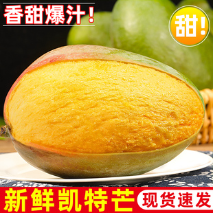 ���ڄP��â���râ����������ˮ���Ĵ�������Ƥ��â�Fժ���������