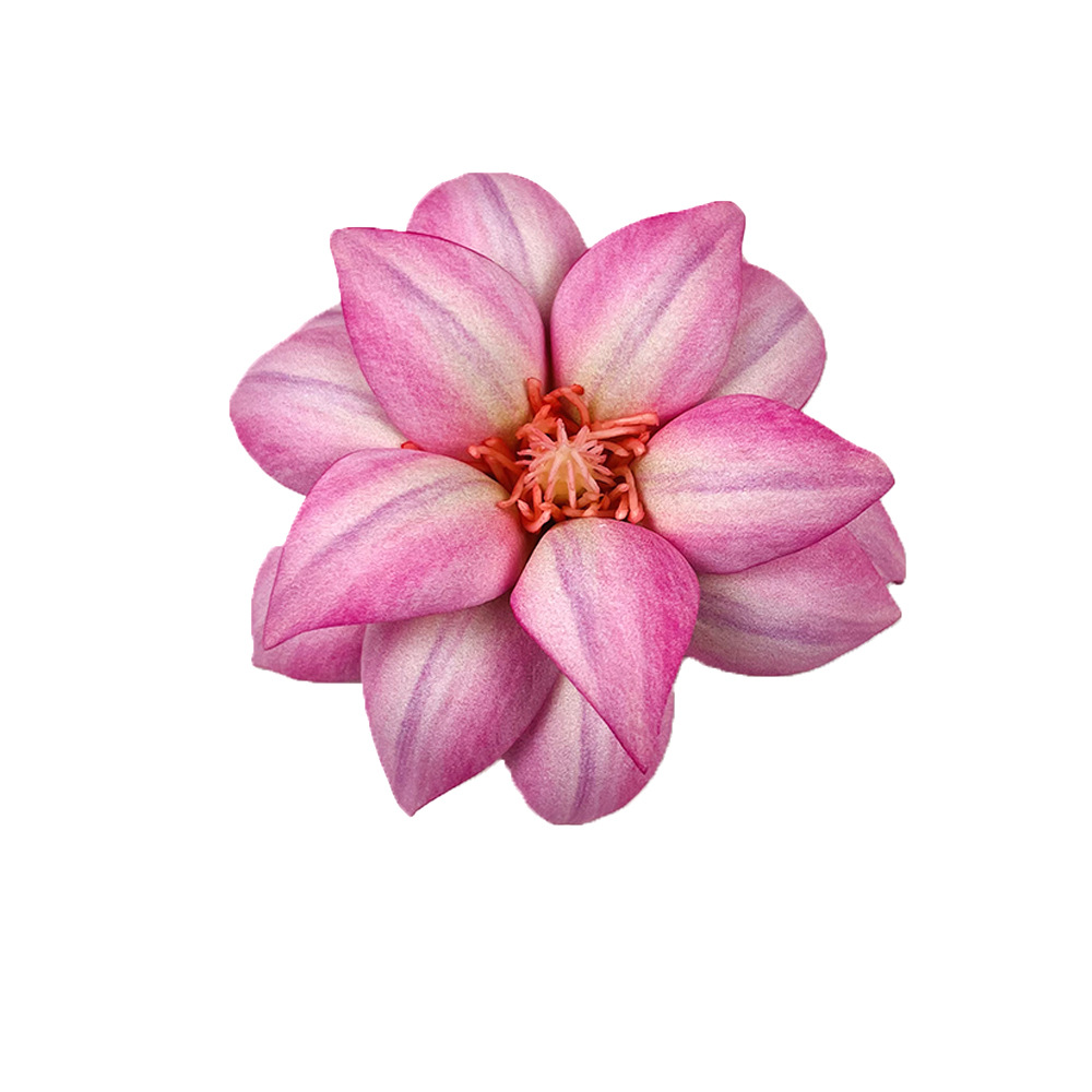 Simulación de flores eva mano