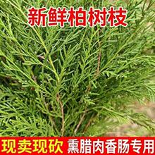 �Ȱ��~�D��ؘ�������ذؘ����r��֦֦Ѭ��޹֦�~�Ȱ�