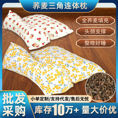 全そば殻枕、頸椎保護睡眠枕、家庭用大人用カッシア種子ハード枕、シングルそば枕