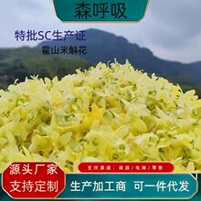 石斛花正宗霍山米斛花林下仿野生基地采摘原产地直发林下种植