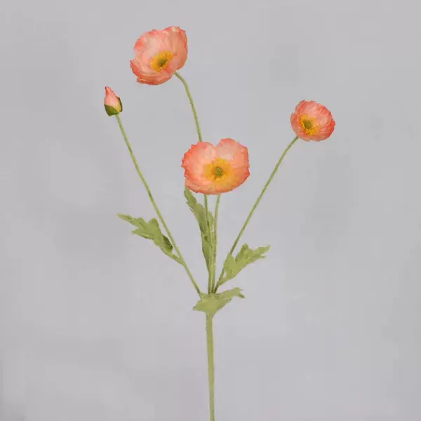 27766F-5671 coral powder