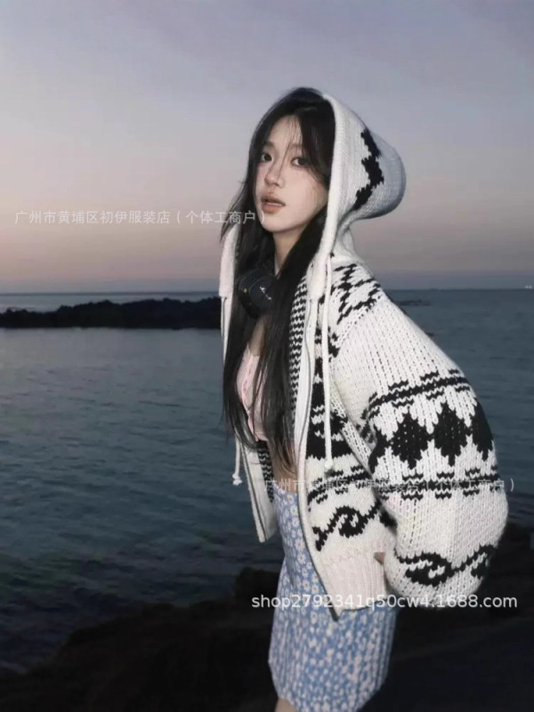 高版本~柳智敏同款韩国小众潮牌openy*麋鹿玫瑰花加厚毛衣连帽外|undefined