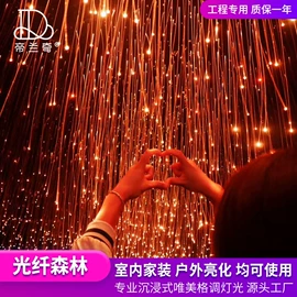 景观灯;LED装饰灯;道路照明灯