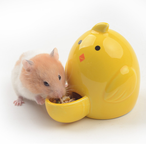 Hamster automatic water feeder, hedgehog ceramic water feeder, sugar glider kettle, ceramic pet automatic waterer