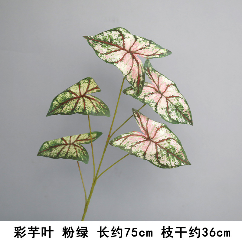 Color taro leaf powder green