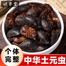 ��ș����Ԫ��������Ԫ�x�ɵ��M�x���M�x����Ԫ��؛��Ԫ��șʳ����