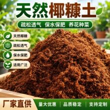 椰糠椰砖营养土养花种菜通用型脱盐椰土粗椰壳多肉绿植种植土壤