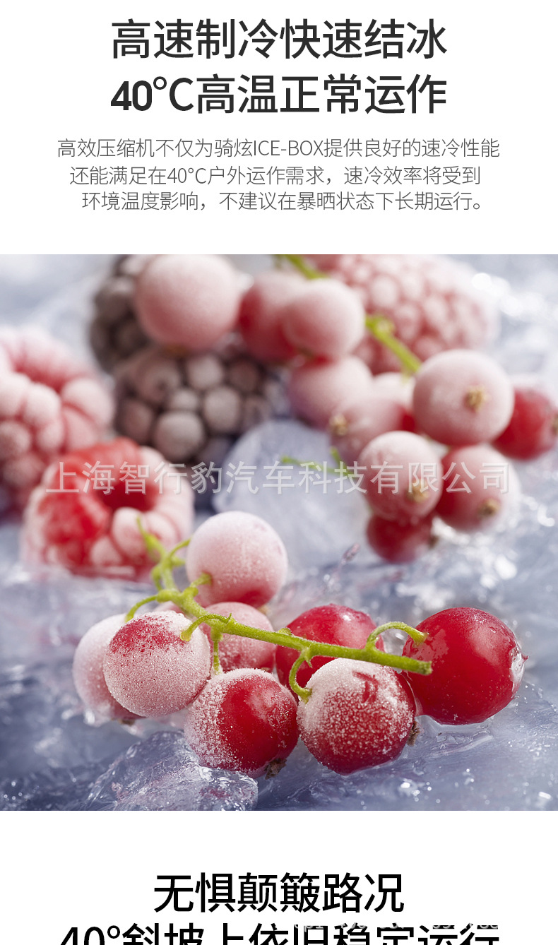 Rixuan car refrigerator compressor refrigeration 12V24V large truck car truck car home dual-use small freezer