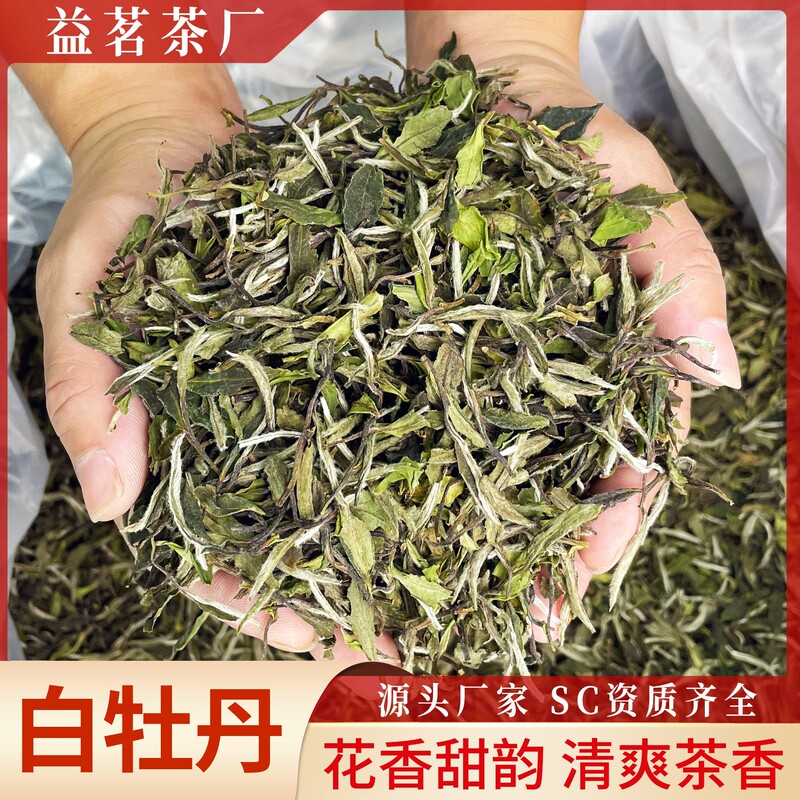 White Peony Flower-Scented White Tea, Peony King Wholesale, Zhenghe Non-Fuding Aged Tea, Aged Fragrance Zhenghe White Tea