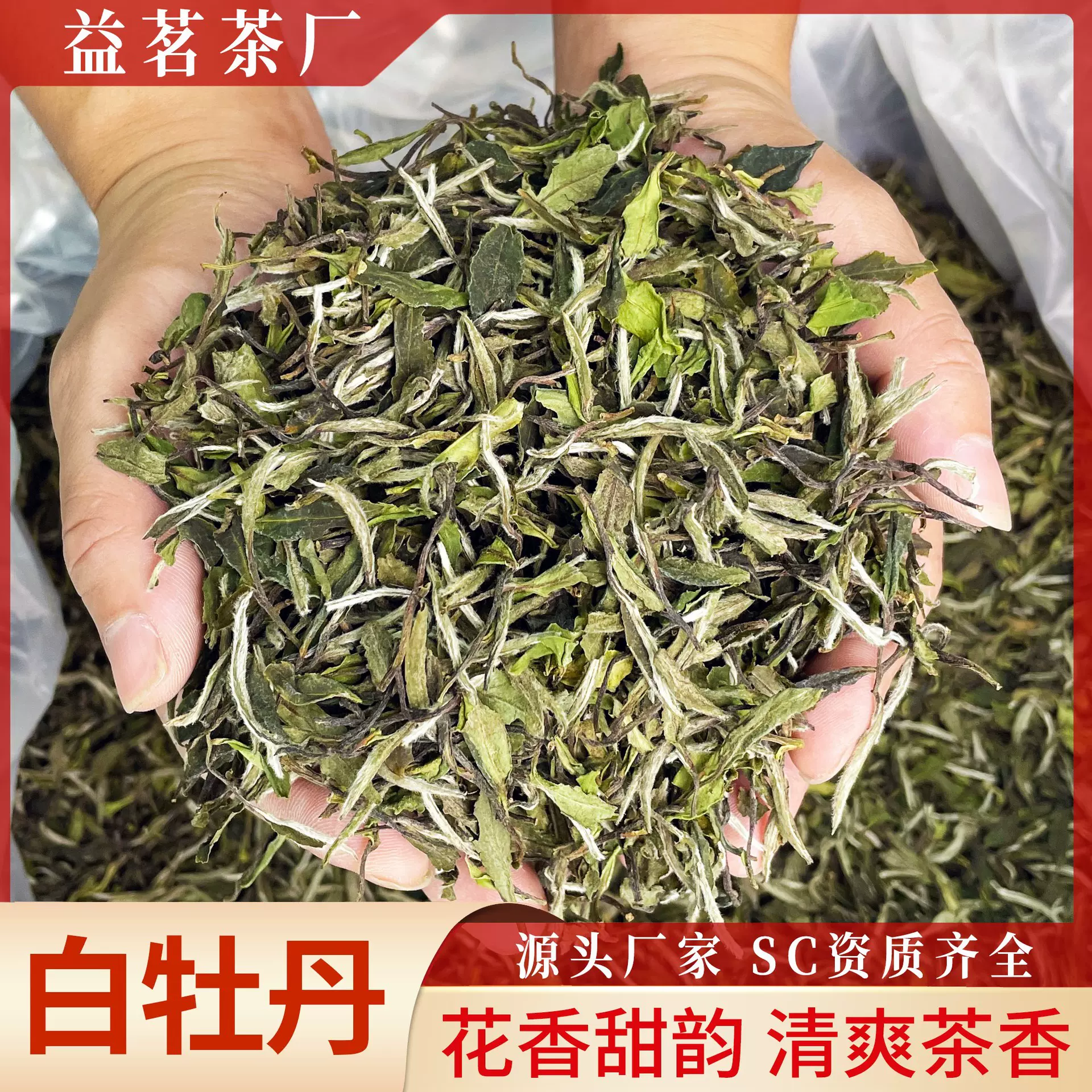 高山白牡丹散茶花香白牡丹白茶茶叶牡丹王批发政和非福鼎陈茶代发