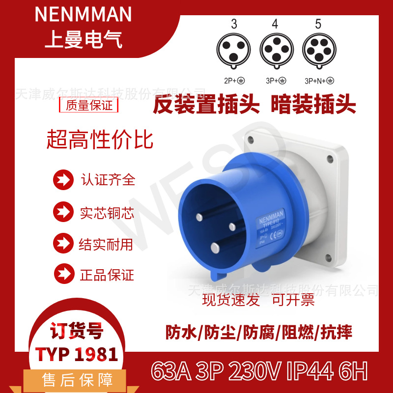 特价 TYP:1981 上曼 反装置插头 工业暗装插头 63A 3芯 IP44 专票