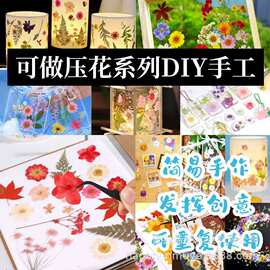 木质押花器方形手工diy植物标本水果片压花器相框书签制作板