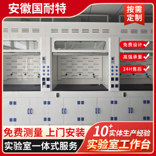 Pp All-Steel Laboratory Ventilation Cabinet Not Afraid of Acid and Alkali Ventilation Cabinet Floor-Standing Purification Cabinet Pp All-Steel Laboratory Ventilation Cabinet