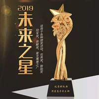 Кристальная награда-трофей в форме жетона из смолы, творческий подарок для outstanding сотрудника, будущая звезда, металлический сертификат, оптовая закупка