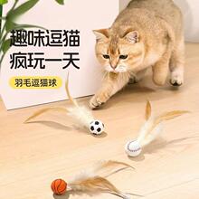 �S�����l-�S�����l-����؈�����ë������؈��������␞�����w
