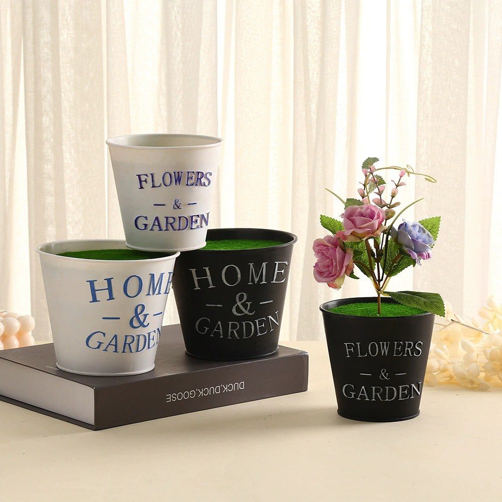 Американский садоводство имитация железного ведра круглый мясистый