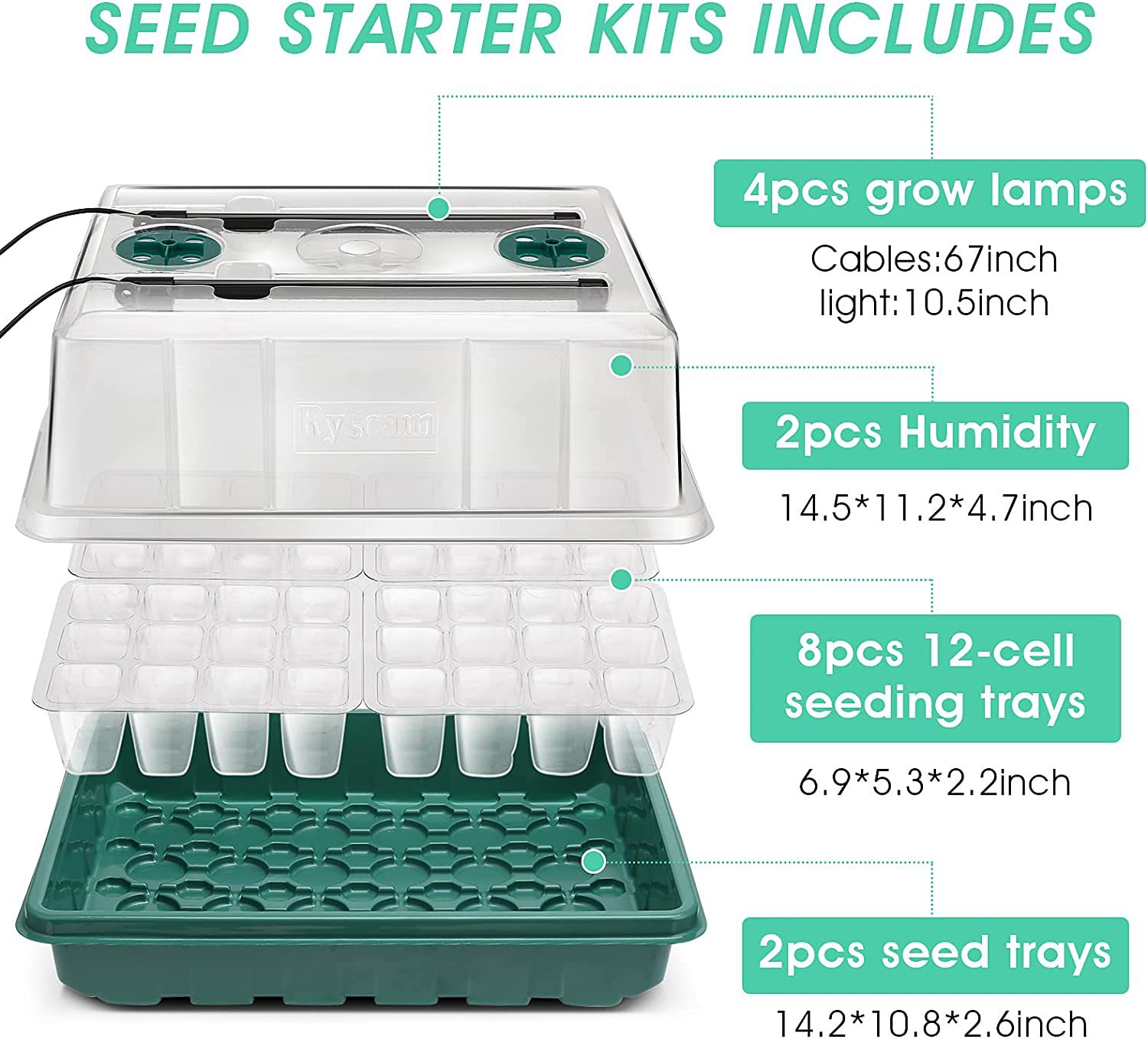 71c61JEaFmL._AC_SL1500_