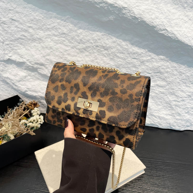 Bolso de hombro retro bolso de cadena de estilo extranjero bolso de personalidad para mujeres 2024 invierno nicho diseño de tendencia bolso pequeño