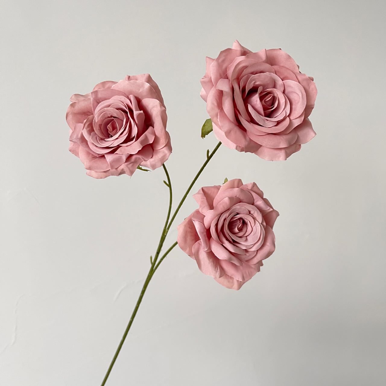프랑스산 3송이 다이아몬드 로즈, 팥죽색