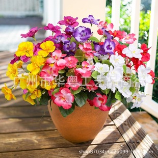 ���R�d�羳����ľ�Ȼ�С�����������Ҿӄ�ˇ�[���b�c�Ĕz