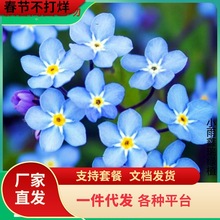 һlݷN޸NҷNļ׷NͥԺ