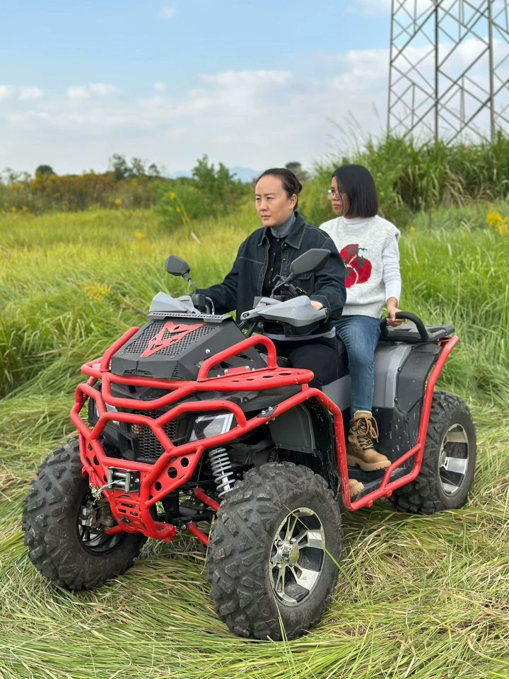 Новый ATV 300CC, внедорожник на переднем/четырехколесный двигатель 300CC, четырехколесный мотоцикл электрический ATV