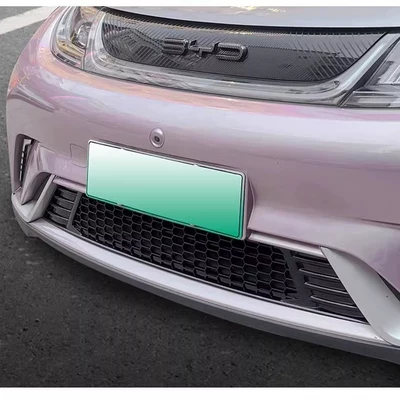 Suitable for BYD Dolphin Insect Net Middle Net New BYD Air Inlet Protective Cover Front Block Modified Black Technology (Automobile anti-insect net)