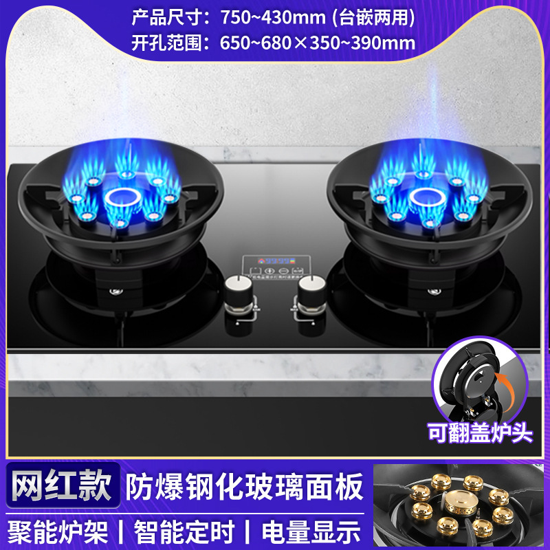 卸売 Royalstar ガスストーブダブルストーブ家庭用天然ガスガスストーブ埋め込み液化ガス省エネ強火|undefined
