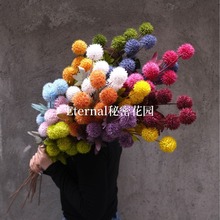 ���滨�[���¿����^С�[���S�������ϼҾӻ�c�Ƶ��b�ܛ�b���^