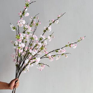 �����֦�ᭇ�ѻ� ���Ļ� ��֦�ٻ��b[����c�һ��쾰�������l