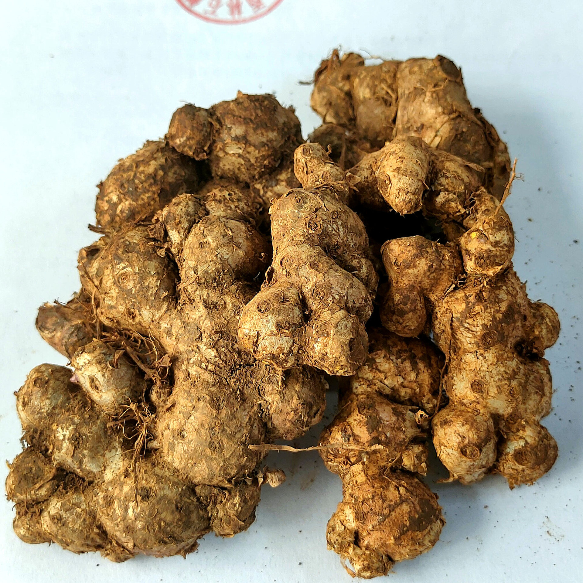 微信图片_20241226150122