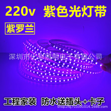 220v紫色led灯带紫光紫罗兰软灯条紫粉色户外防水吊顶装饰KTV酒吧