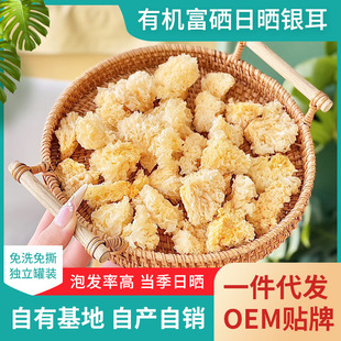 ���������ЙC�����Օ��y����؛  �y�������z��100g���b