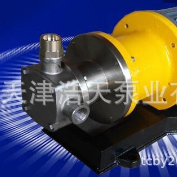 磁力挠性泵TDCN 磁力密封挠性泵 磁力橡胶叶轮泵 橡胶叶轮磁力泵