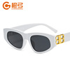 Fashionable brand retro trend sunglasses, European style